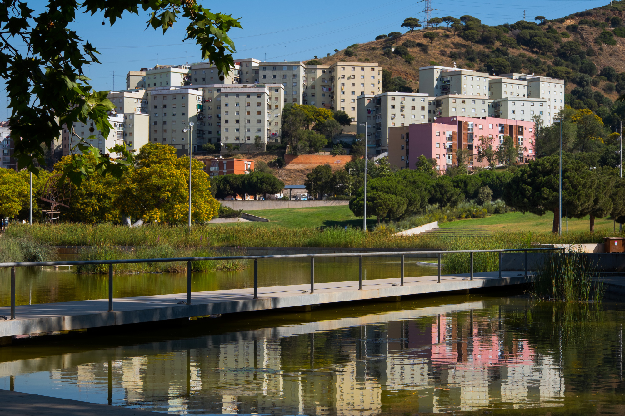 El llac de Can Zam