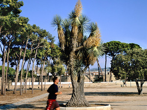 Imagen del parque