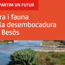 Flora i la fauna de la desembocadura del Besòs