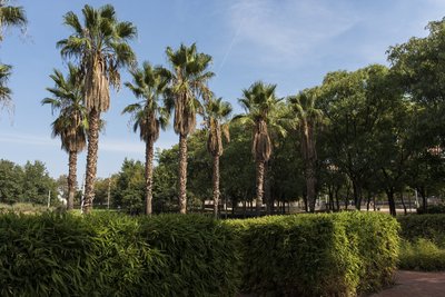 Parc del Llobregat