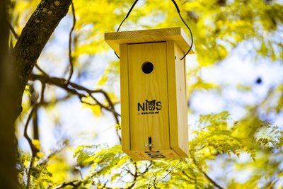 Caixa niu instal·lada al parc