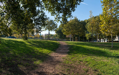 Vista d'un dels camins