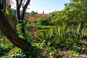 Imatge del parc