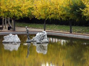 Imagen del parque