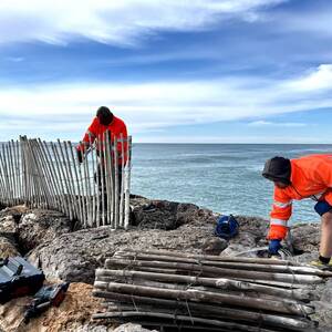 Operaris de l'AMB col·locant la tanca de protecció a prop del mar