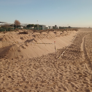 Treballs de generació de noves dunes a les platges