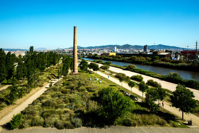 La xemeneia del parc