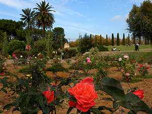 Imagen del parque