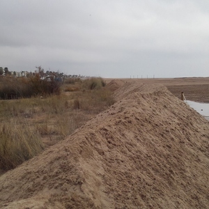 Treballs de reforç de les dunes