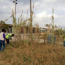 Projectes participatius a les platges