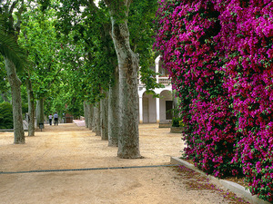 Imagen del parque