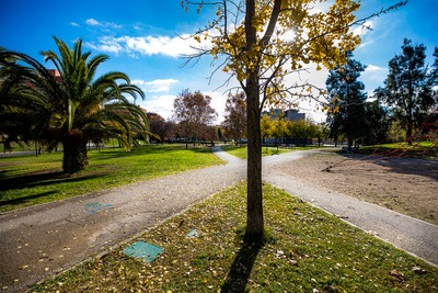 Zona de vegetació