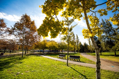 Zona de vegetació