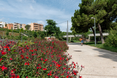 Camí del parc