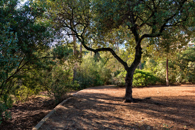 Zona d'ombra del parc