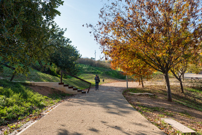 Camí amb vegetació i ombra