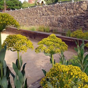 Bassa del jardí de papallones del parc de la Fontsanta