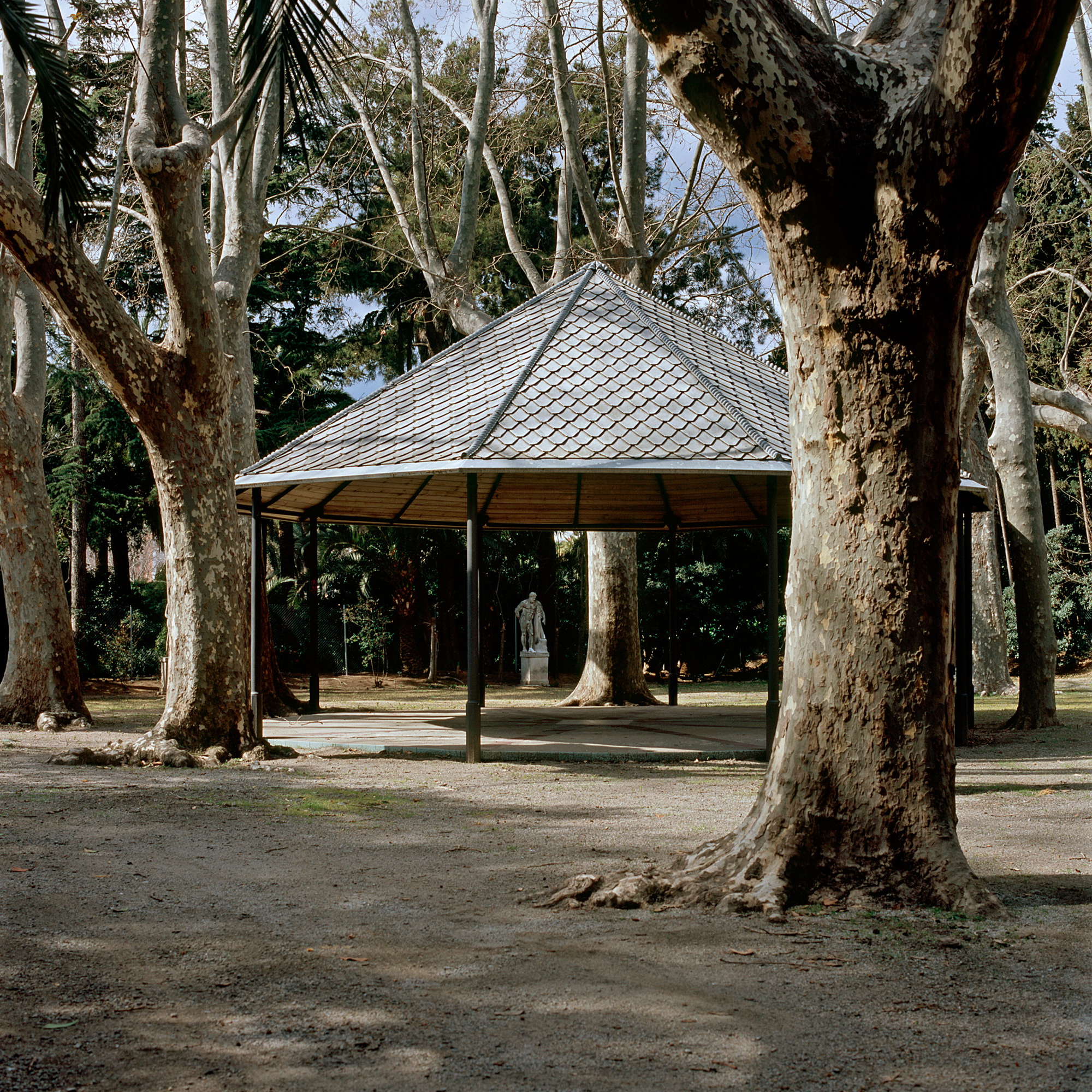 La Glorieta dels plàtans