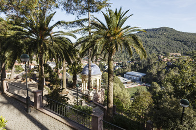 Vista de les palmeres amb el templet