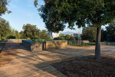 Zona de vegetació del parc