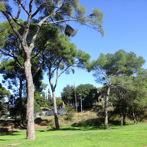 Parc del Bosc de Can Gorgs