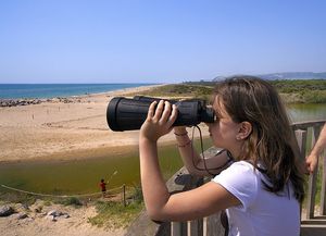 Platja de la Roca