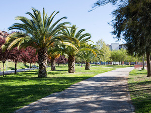 Imatge del parc