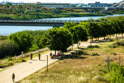 Un dels camins del parc que voreja el parc