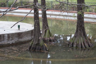 Els Hostes del Llac