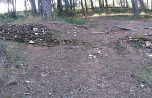 00_Pla de Protecció Forestal Terrasses agrícoles abandonades i ocupades per la pineda