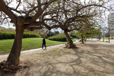 Espai del parc amb bancs