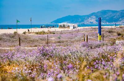 Imatge de la platja de Castelldefels