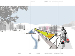 Intervencions: Parc central - programa