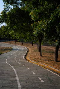 Camí peatonal i camí per a bicis