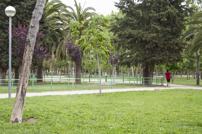 Zona de gespa del parc