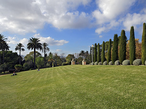 Imagen del parque