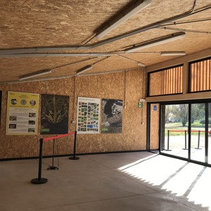 Galeria 1