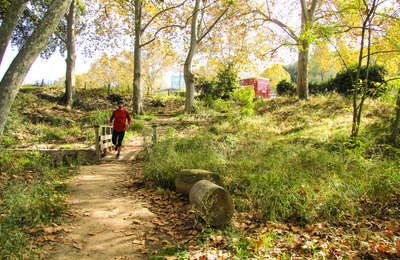 01_imatge impacte pujada castell Un home per un camí entre arbres