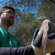 Nova temporada de la Jugatecambiental