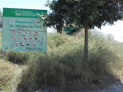 Aiguamolls - Güal inundable de Sant Vicenç - Molins - Sant Feliu