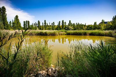 La llacuna del parc