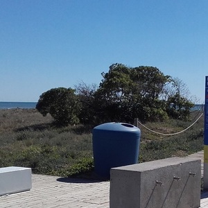 Eliminació de plantes invasores