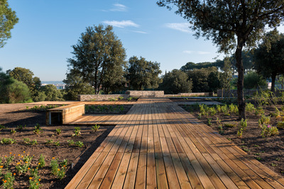 Zona de vegetació del parc