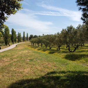 Imagen del parque