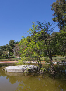 Els Hostes del Llac