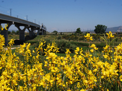 Biodiversitat