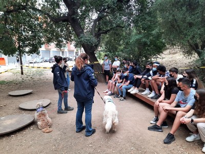 Alumnes interactuant amb els gossos durant una de les fases del projecte
