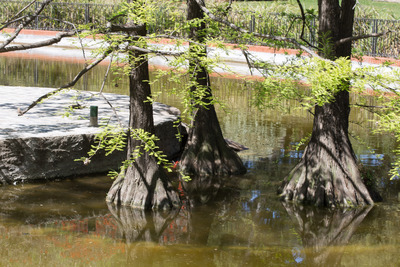 Els Hostes del Llac