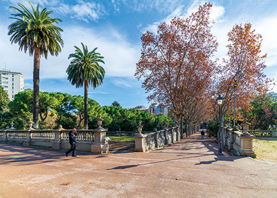 imatge de l'estat previ del parc