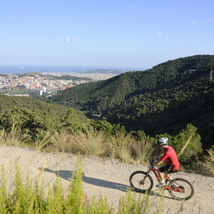 Imatge de Collserola